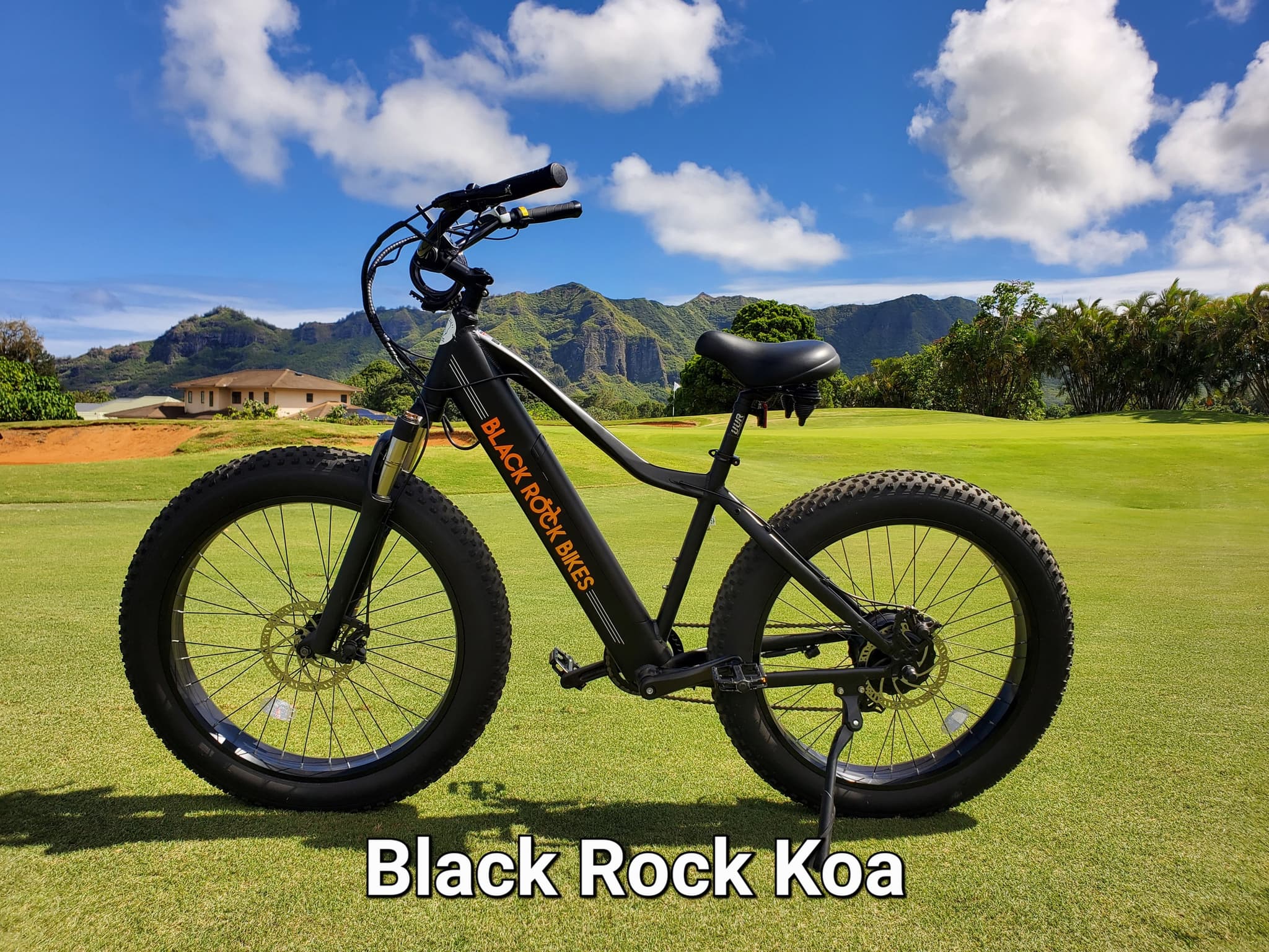 Four Hour Ebike Rental