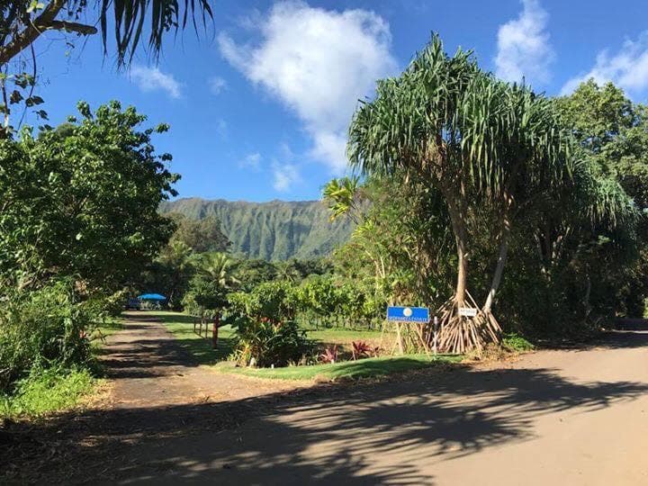 Cacao Farm Tour & Chocolate Tasting