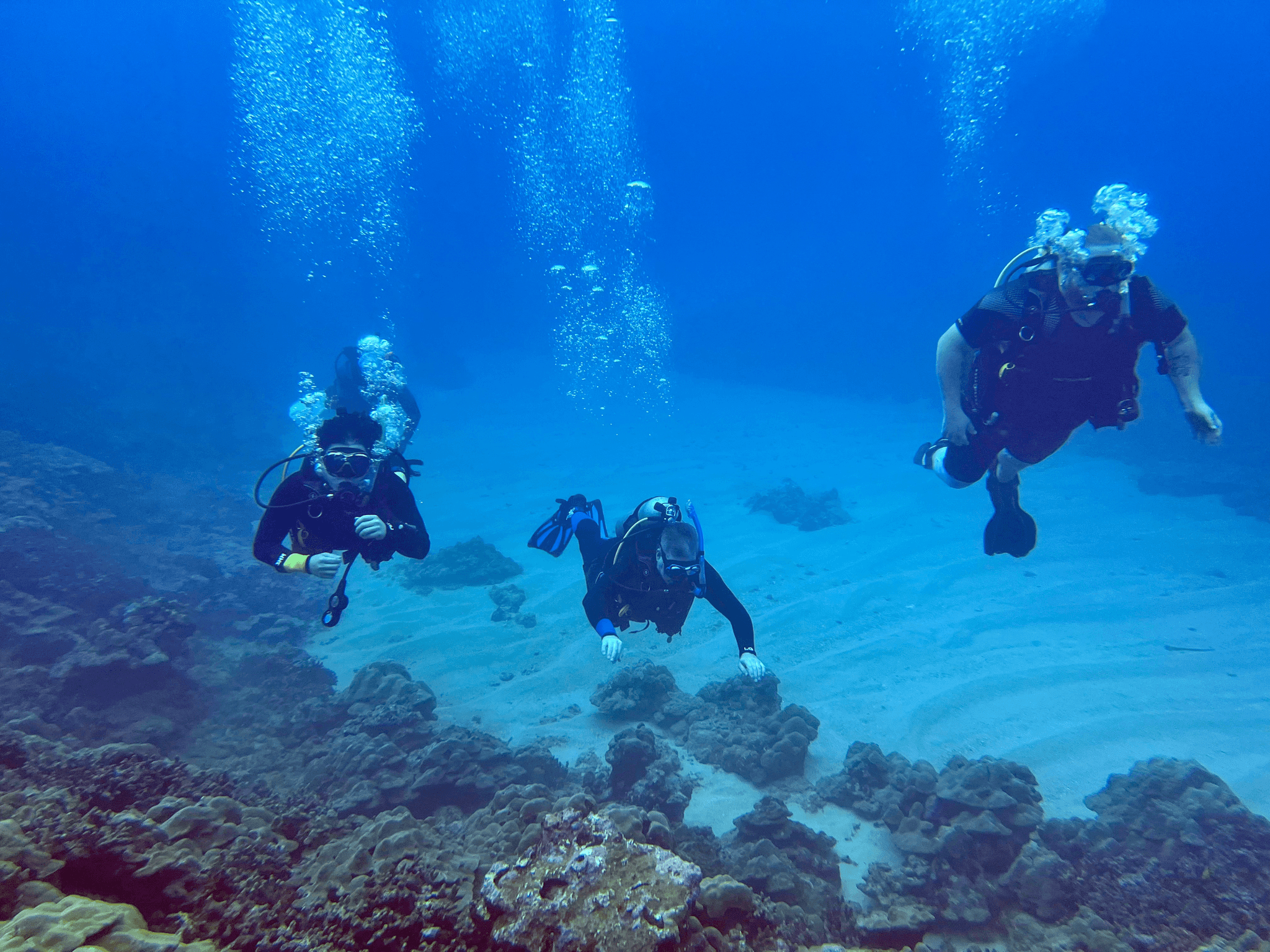 1 Tank Boat Dive - Sea Turtles & Tropical Reef