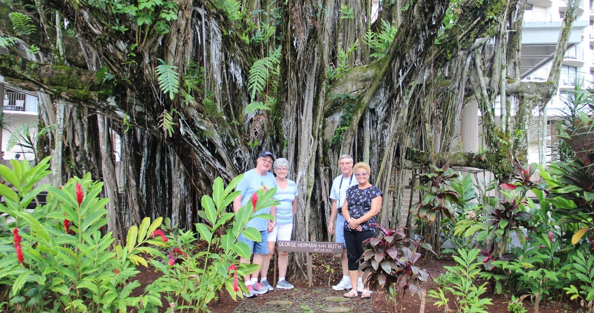 Custom Volcanoes National Park Tour with extra stops
