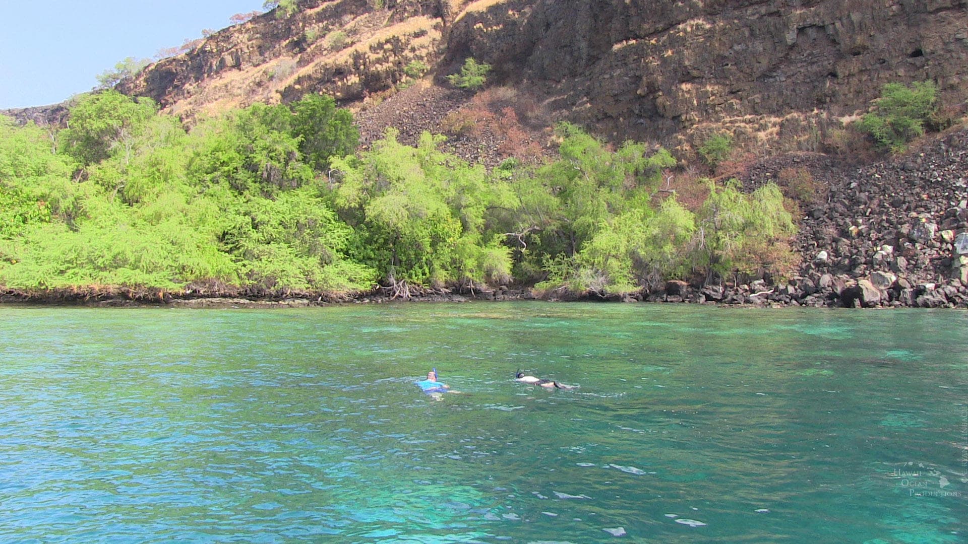 Afternoon Kealakekua Bay Snorkel
