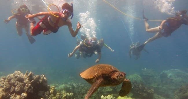 Maui South Side Morning Dive--Kihei, Wailea & Makena