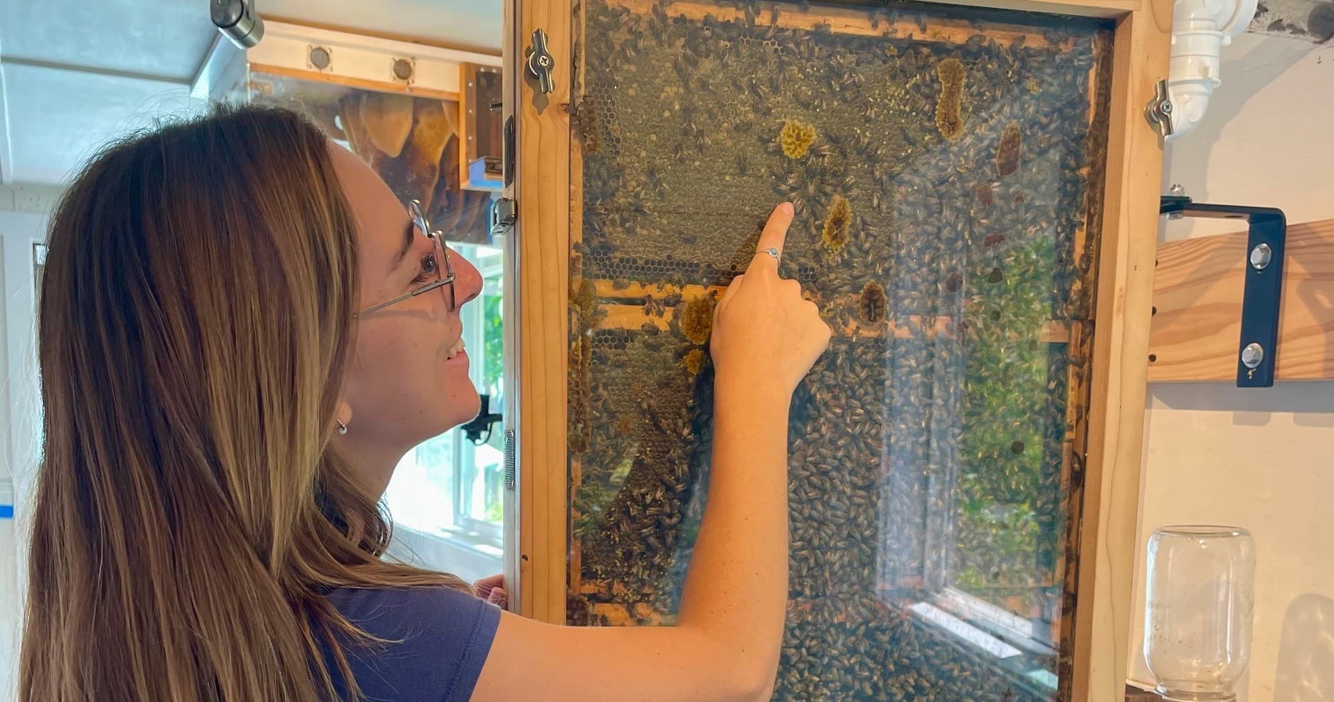 Regenerative Agriculture Farm Tour