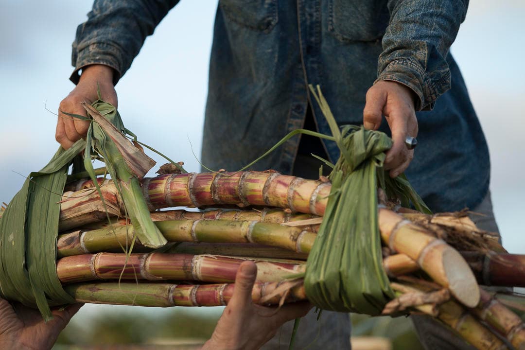 Kō Hana Distillery Tour