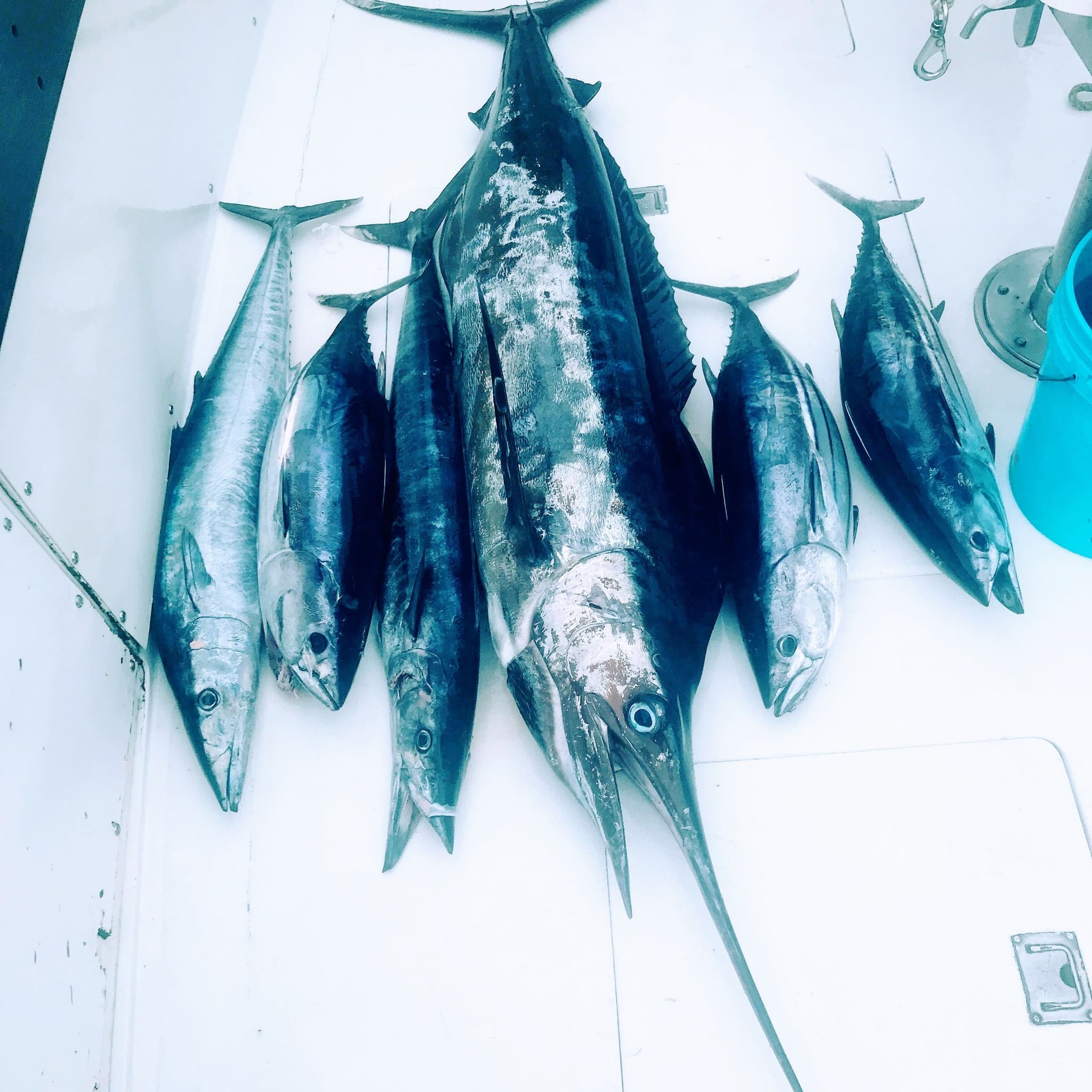 Private Fishing Charter