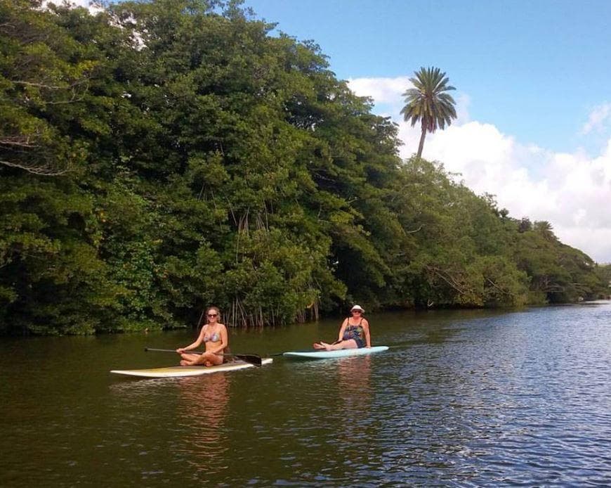 SUP Lesson & River Turtle Tour - OLD