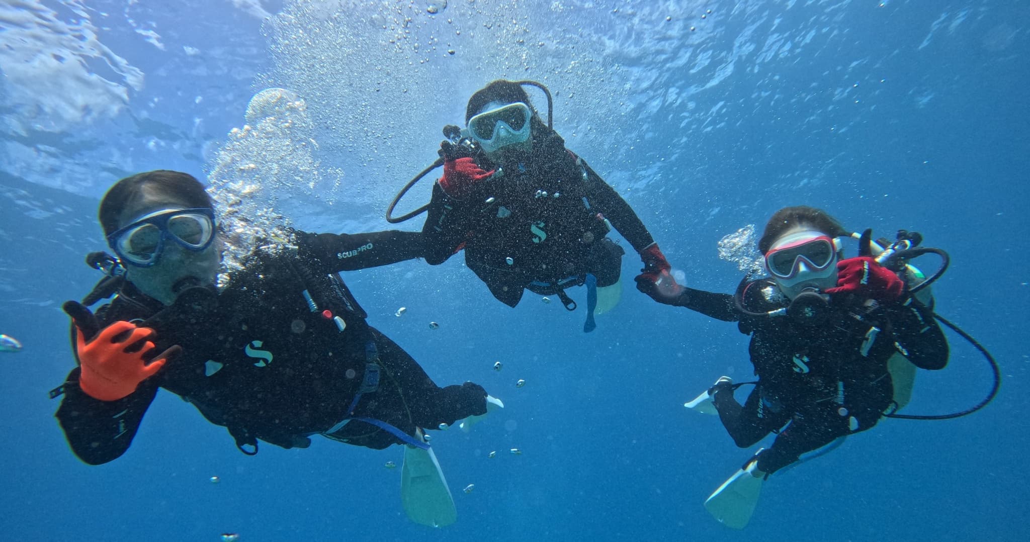 貸切親子体験ダイビング