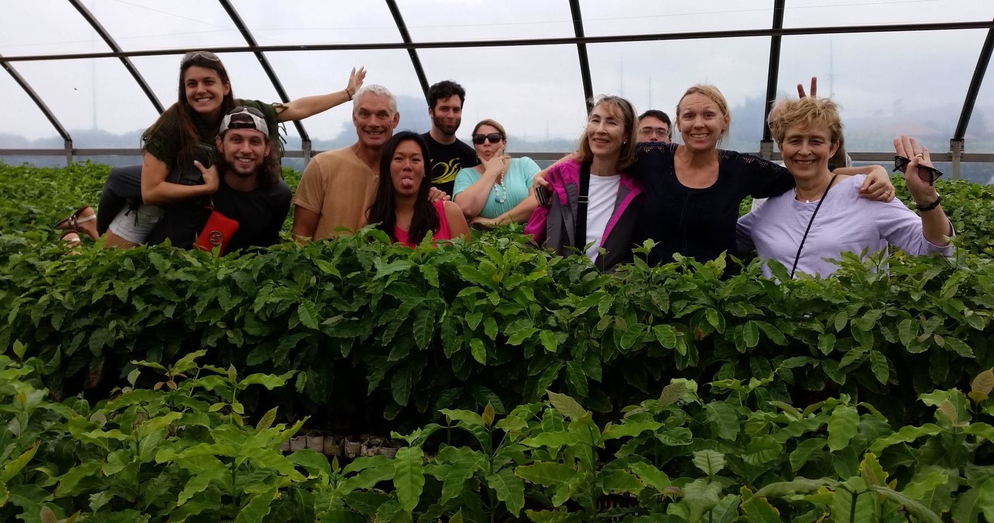 Coffee on the Brain Tour