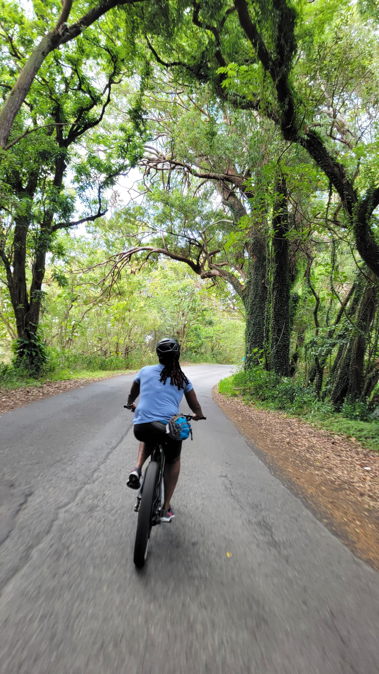E-Bike Tour – Honolulu Rainforest Ride