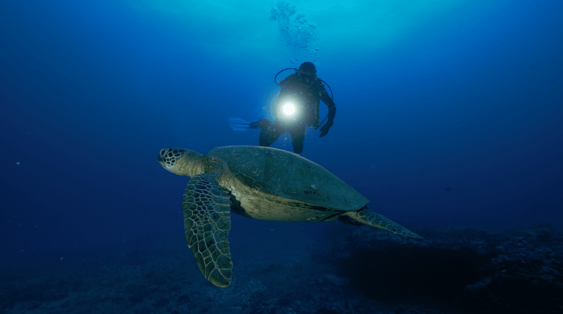 PADI Specialty Diver Course