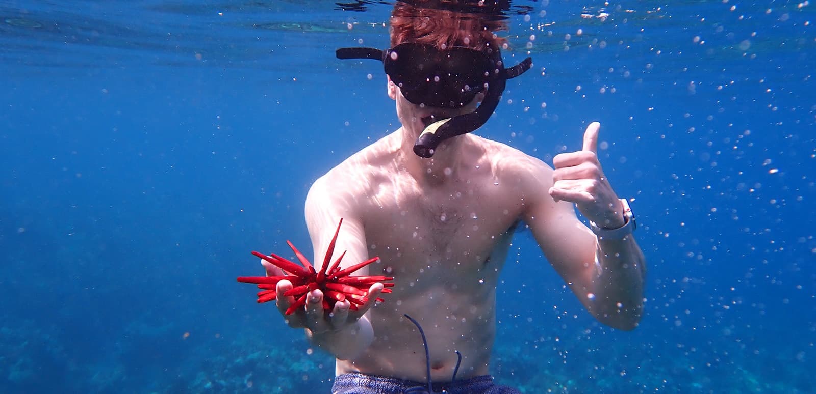 Andaz Snorkel Outrigger Canoe Tour