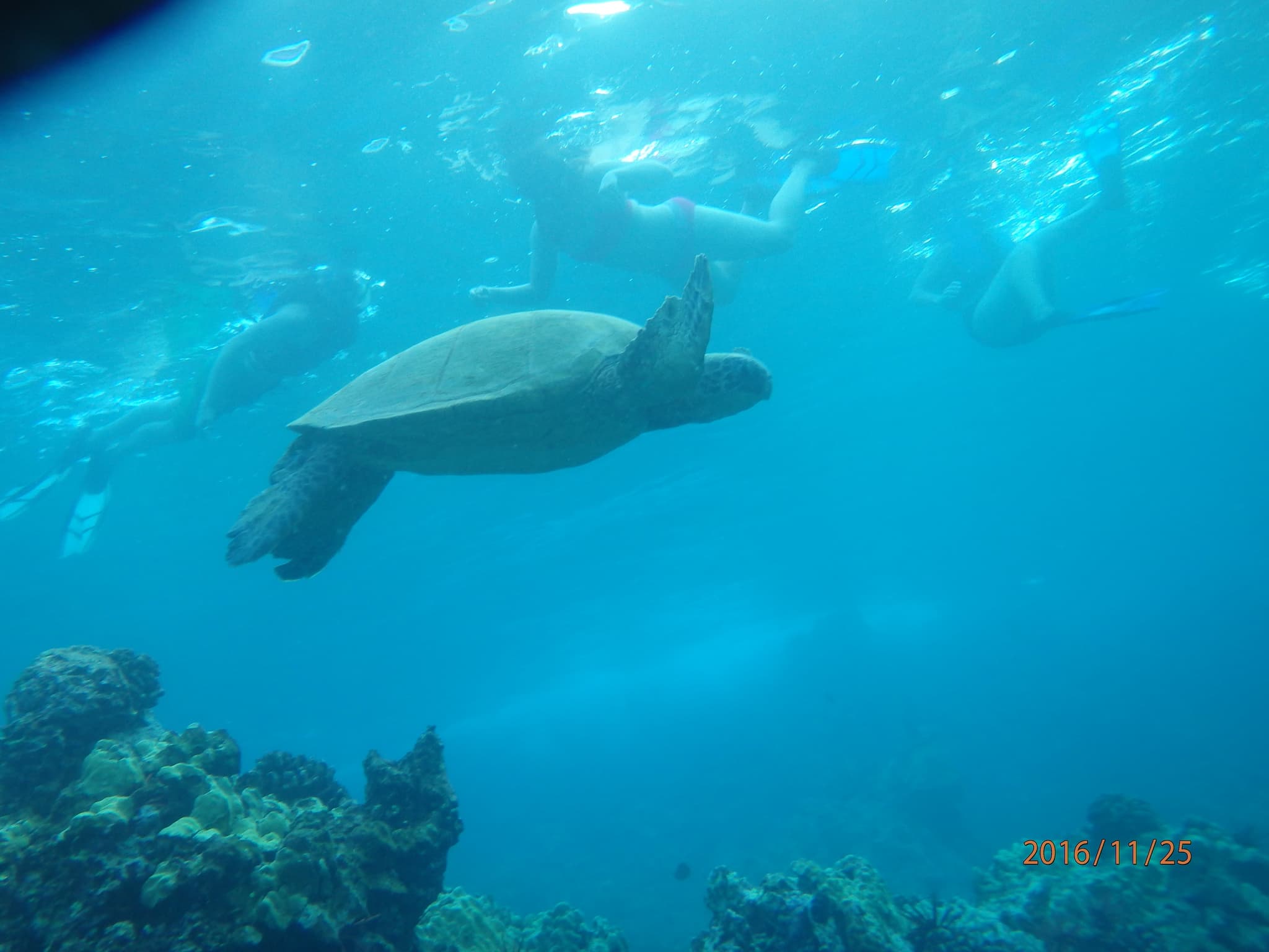 Wailea Coastline Discovery