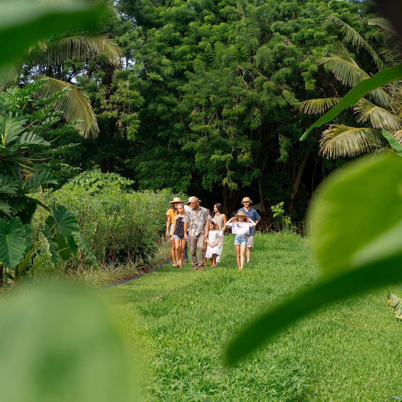 Farm & Food Experience