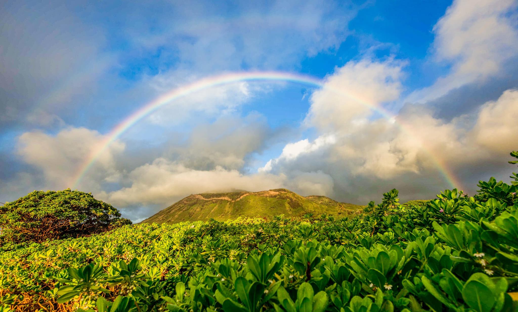 Complete Island Adventure with Sunrise