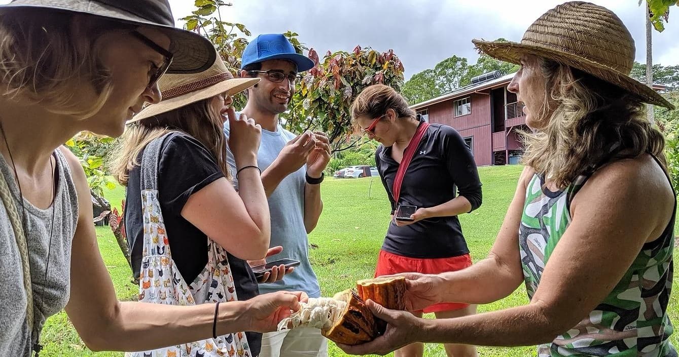 Help with Farm Chores