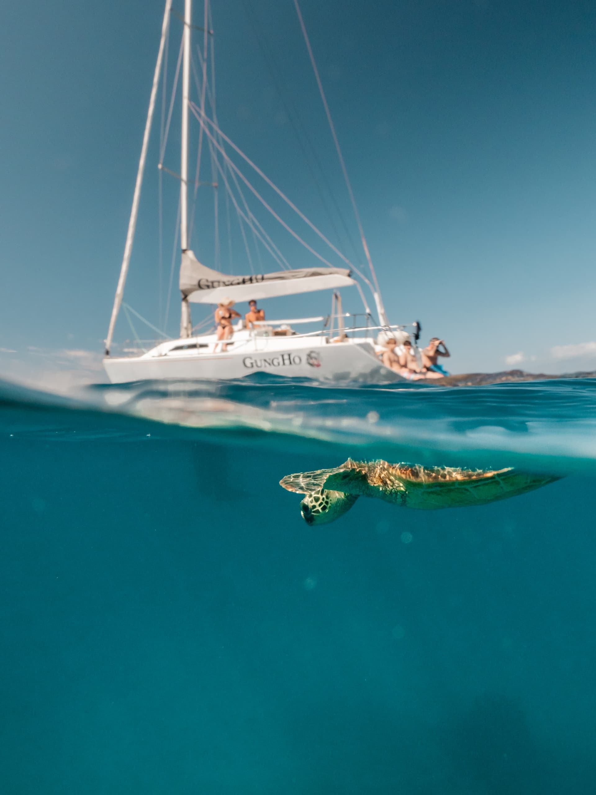 Private Snorkel Sail