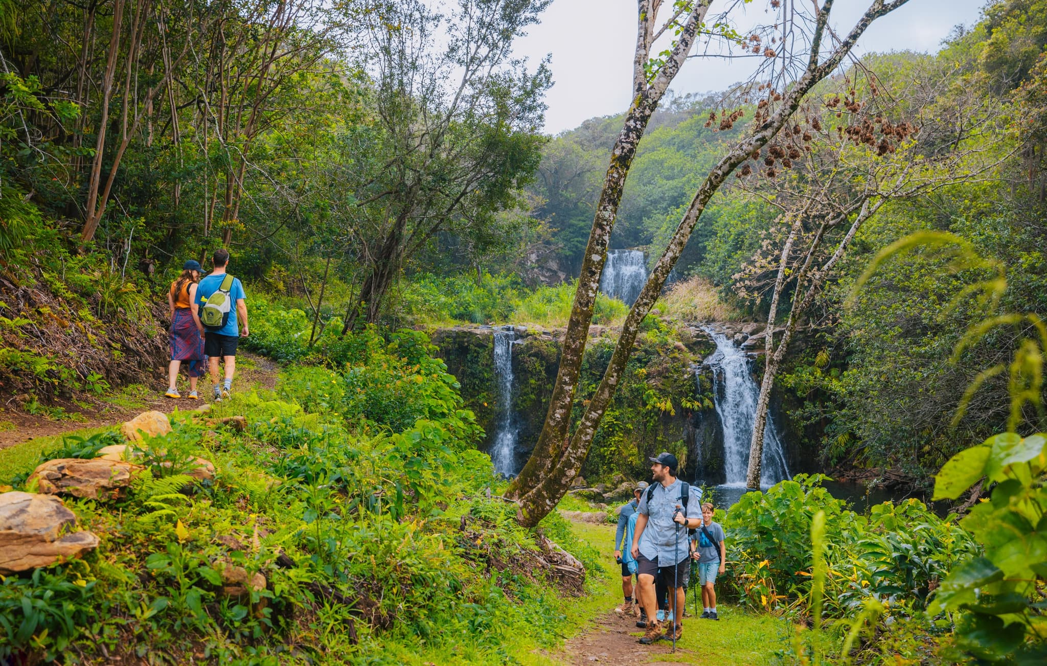 Kohala Waterfalls Adventure