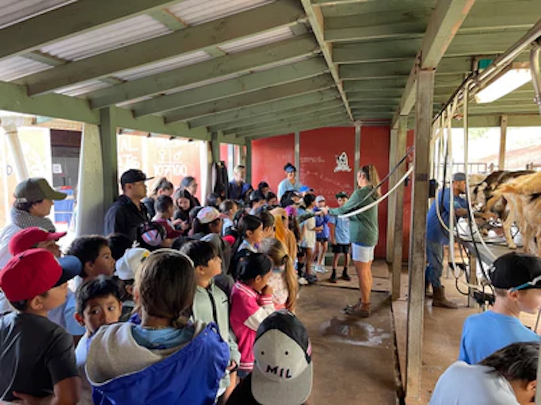 Evening Chore & Milking Tour