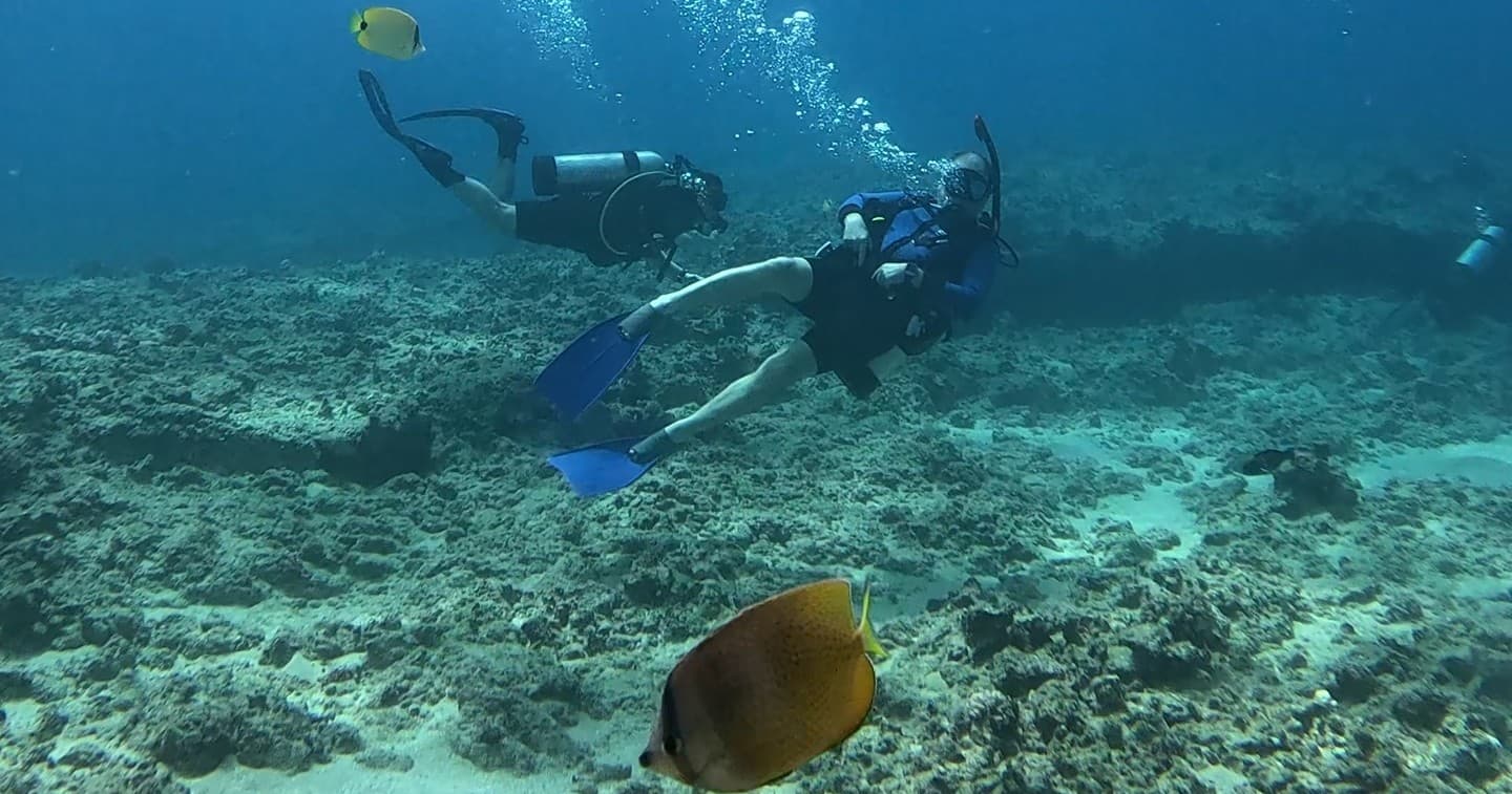 Small Group Guided Shore Dive