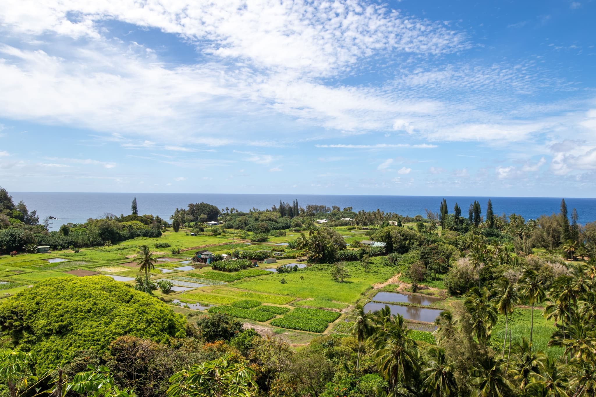 Hana & Back Adventure Tour: Luxury Expedition