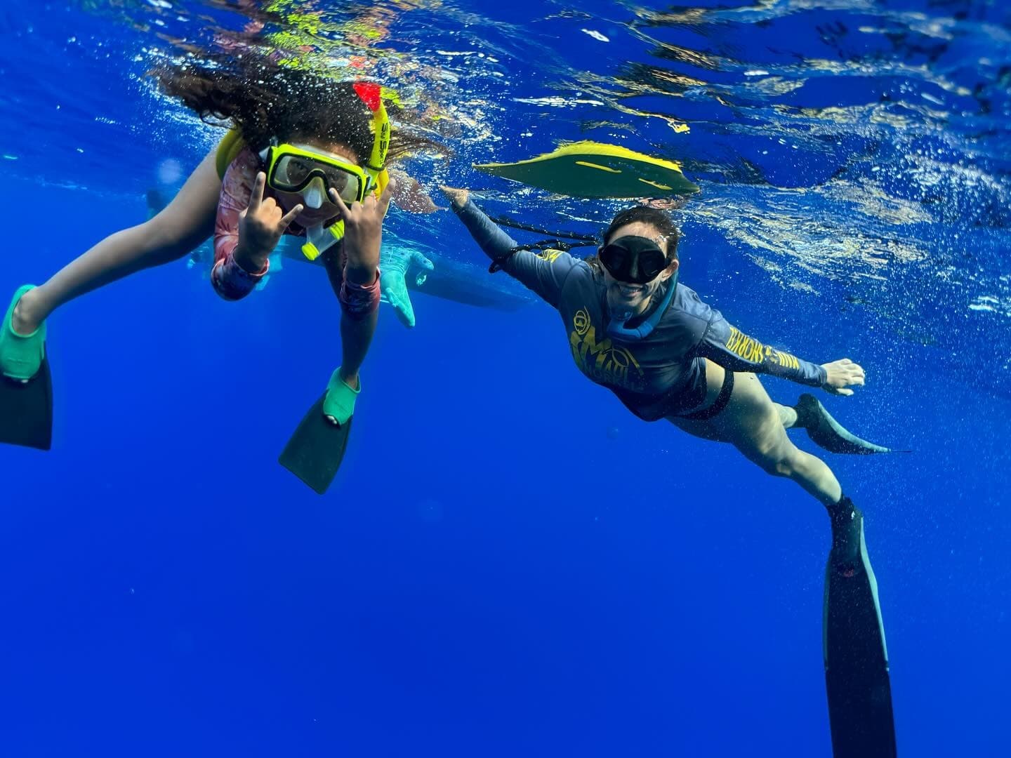 Sea Turtle & Molokini Tour