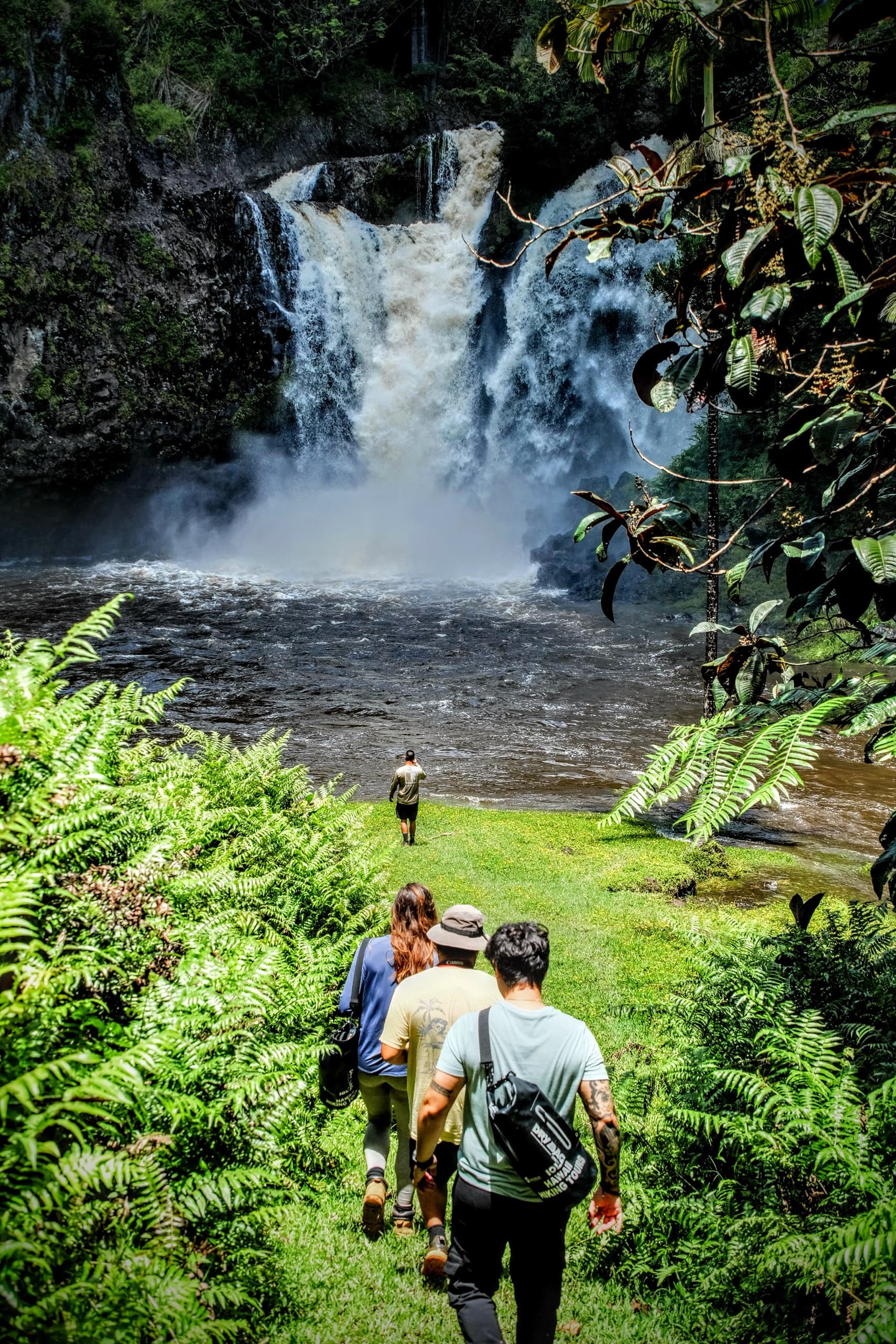 Waterfall Hiking Tour with Hilo Cruise Ship Pickup