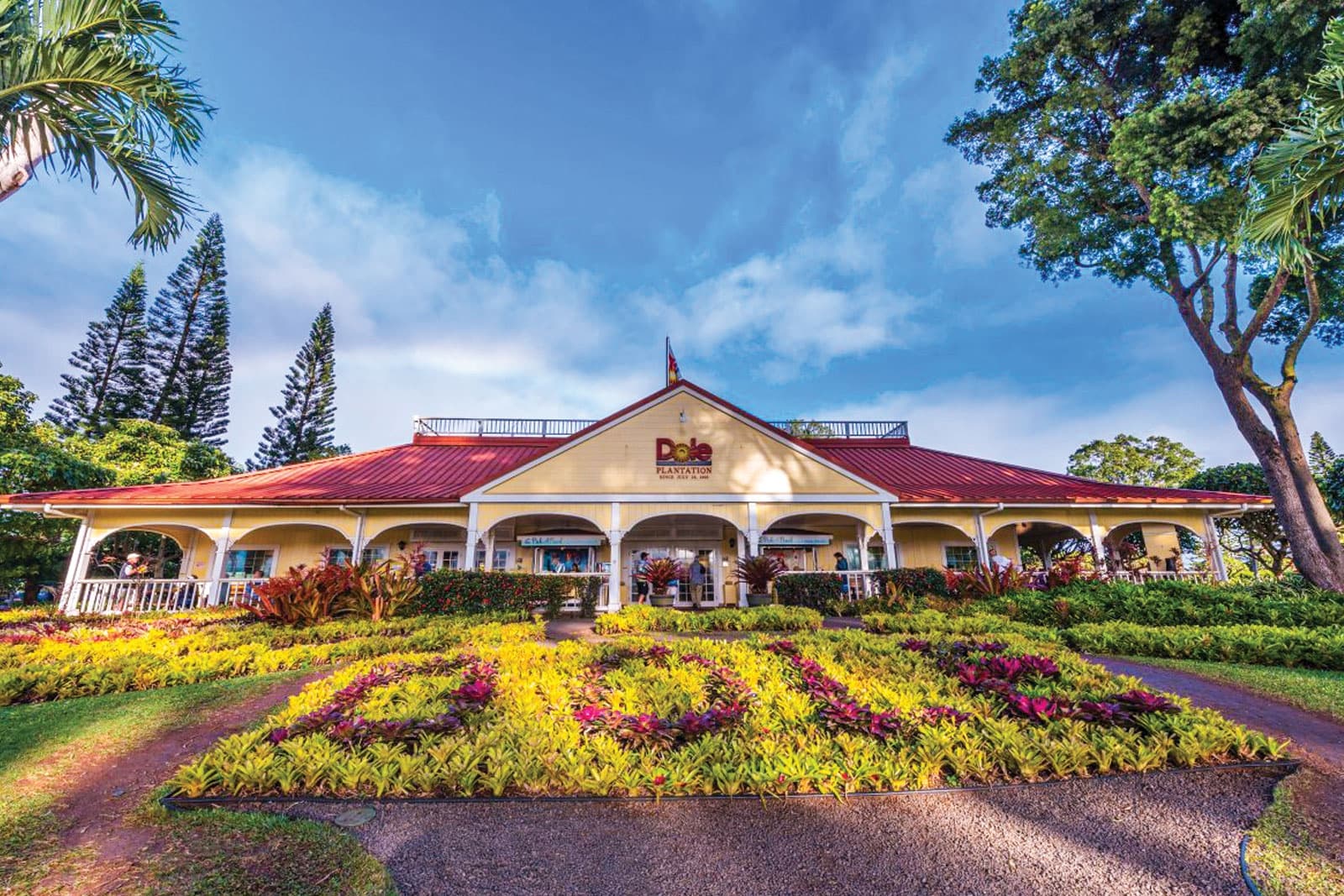 PRIVATE Late-Start Premium Circle Island Tour (12 Stops)