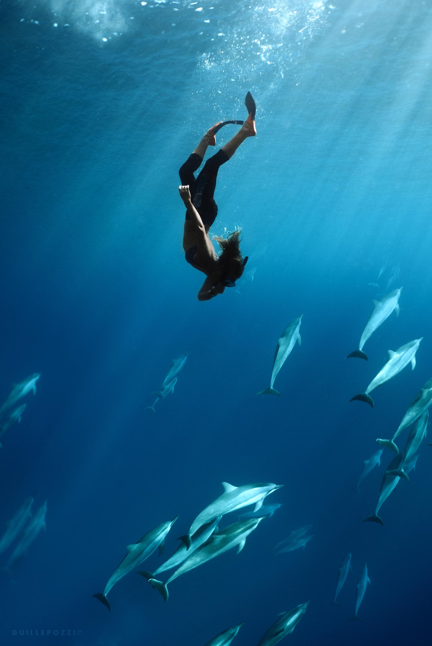 Morning Lana‘i Snorkel Tour