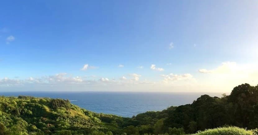 Road to Hana Adventure - Private Tour