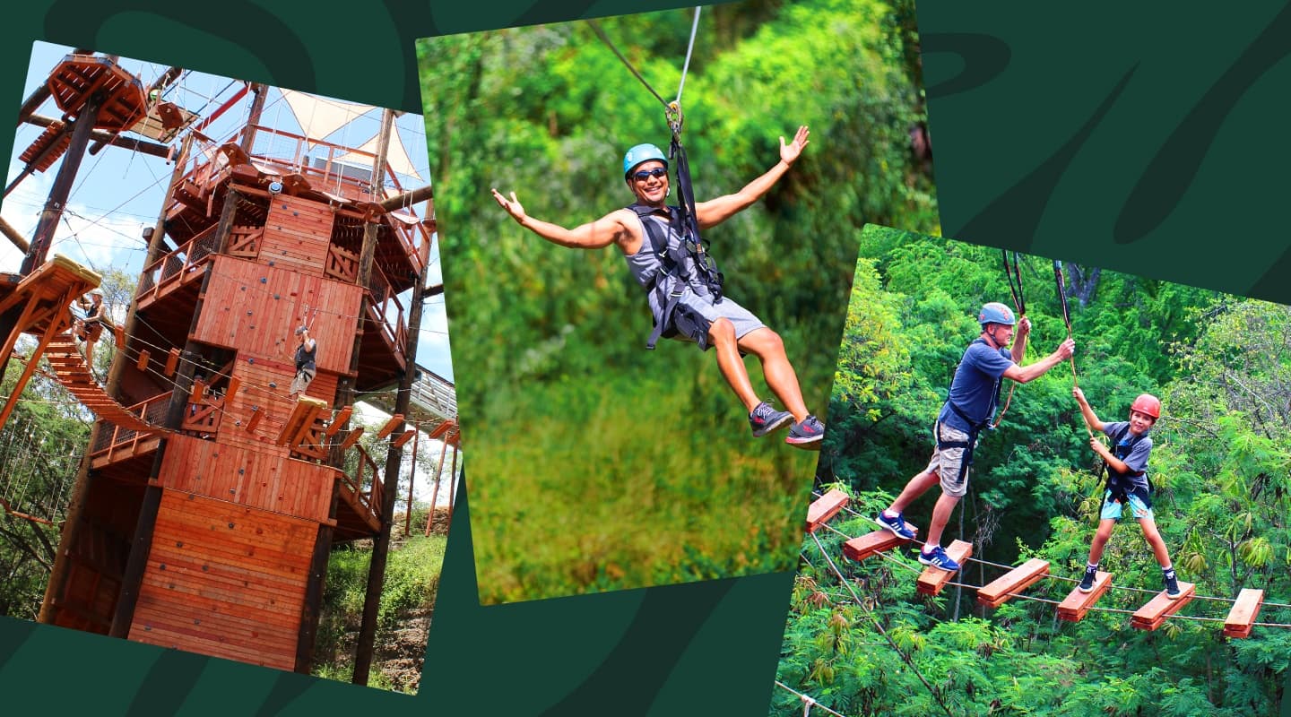 Six Zipline & Adventure Tower Package