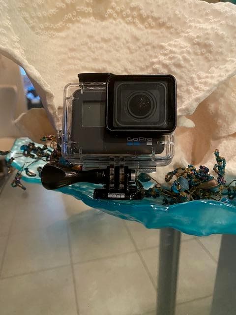 GoPro Rentals