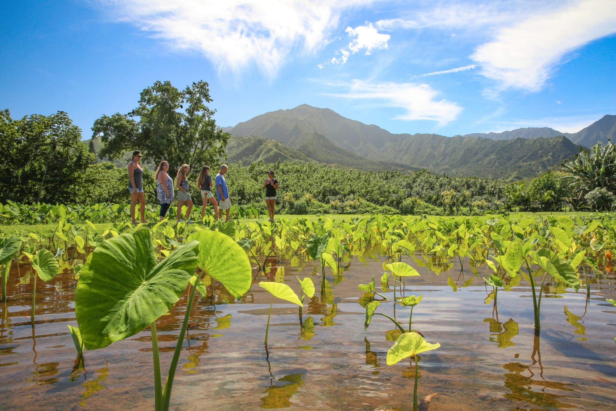 THURSDAYS | Introduction to the Ahupua’a, it’s Food Systems and Waterways