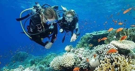 Open Water Certification Checkout Dives