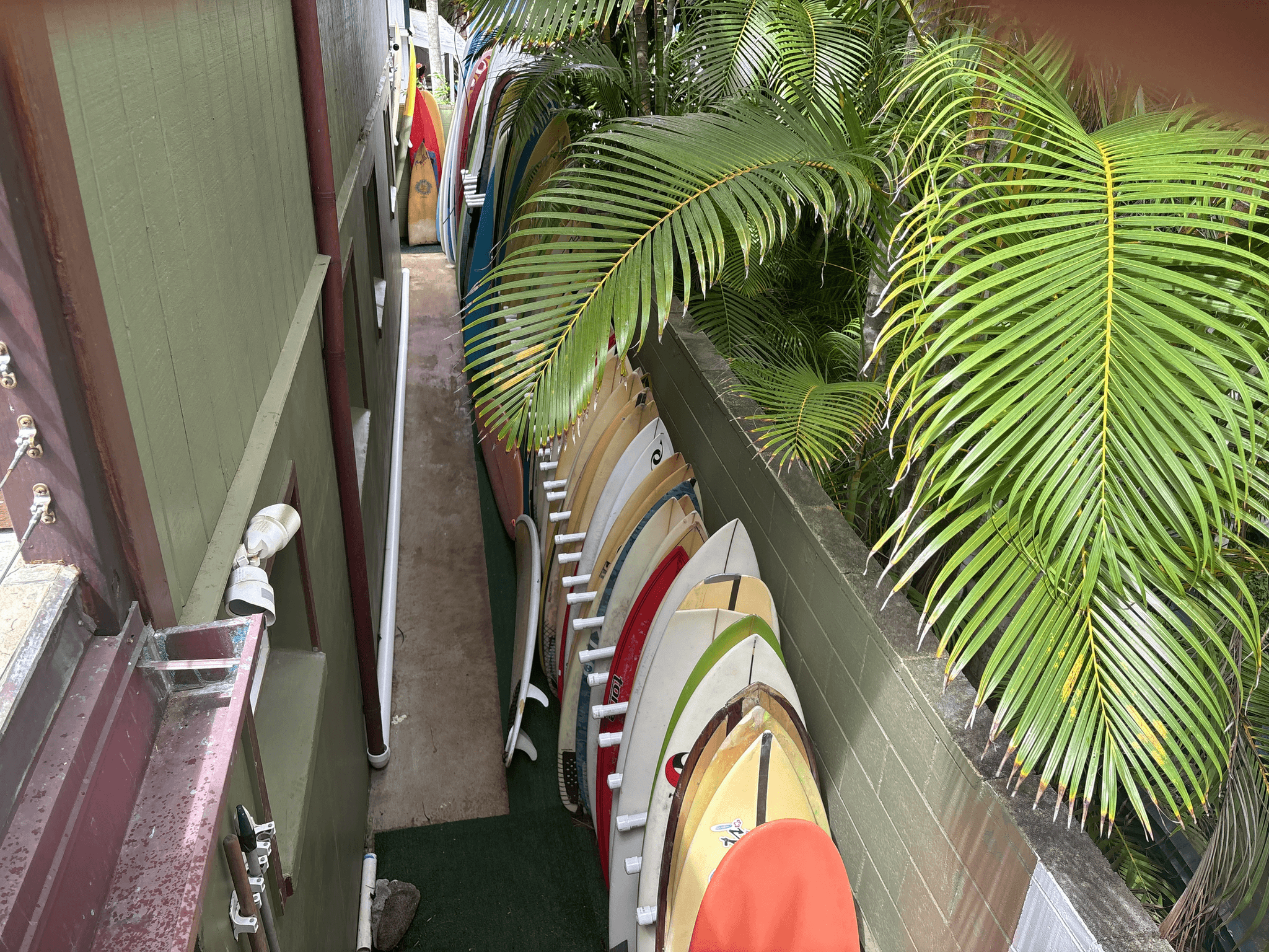 North Shore Surf Camp