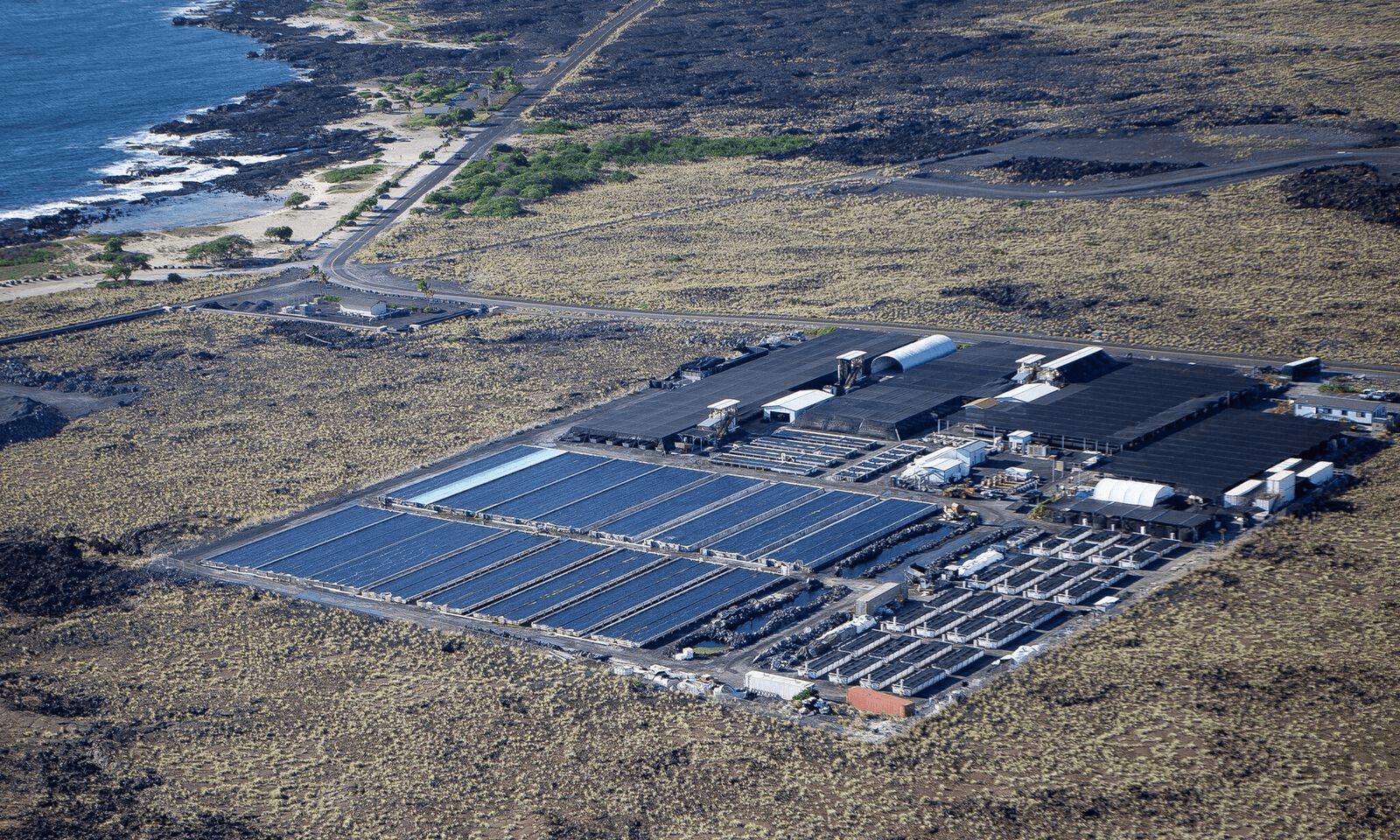 Mauka & Makai Farms Van Tour for Foodies