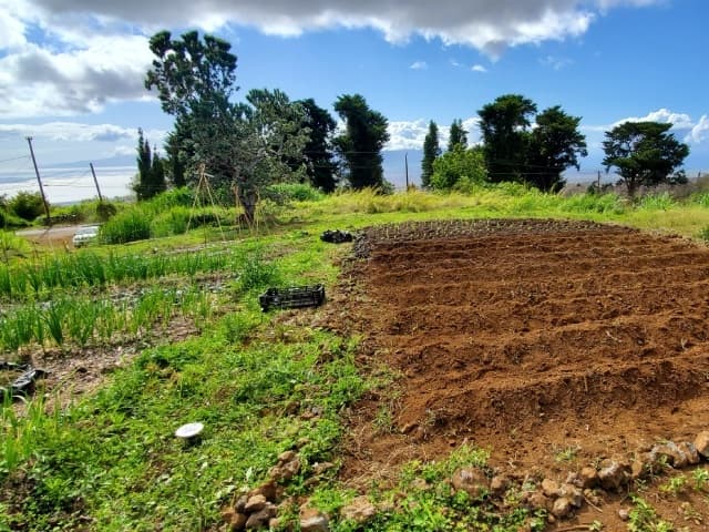 Culinary & Farm Tours