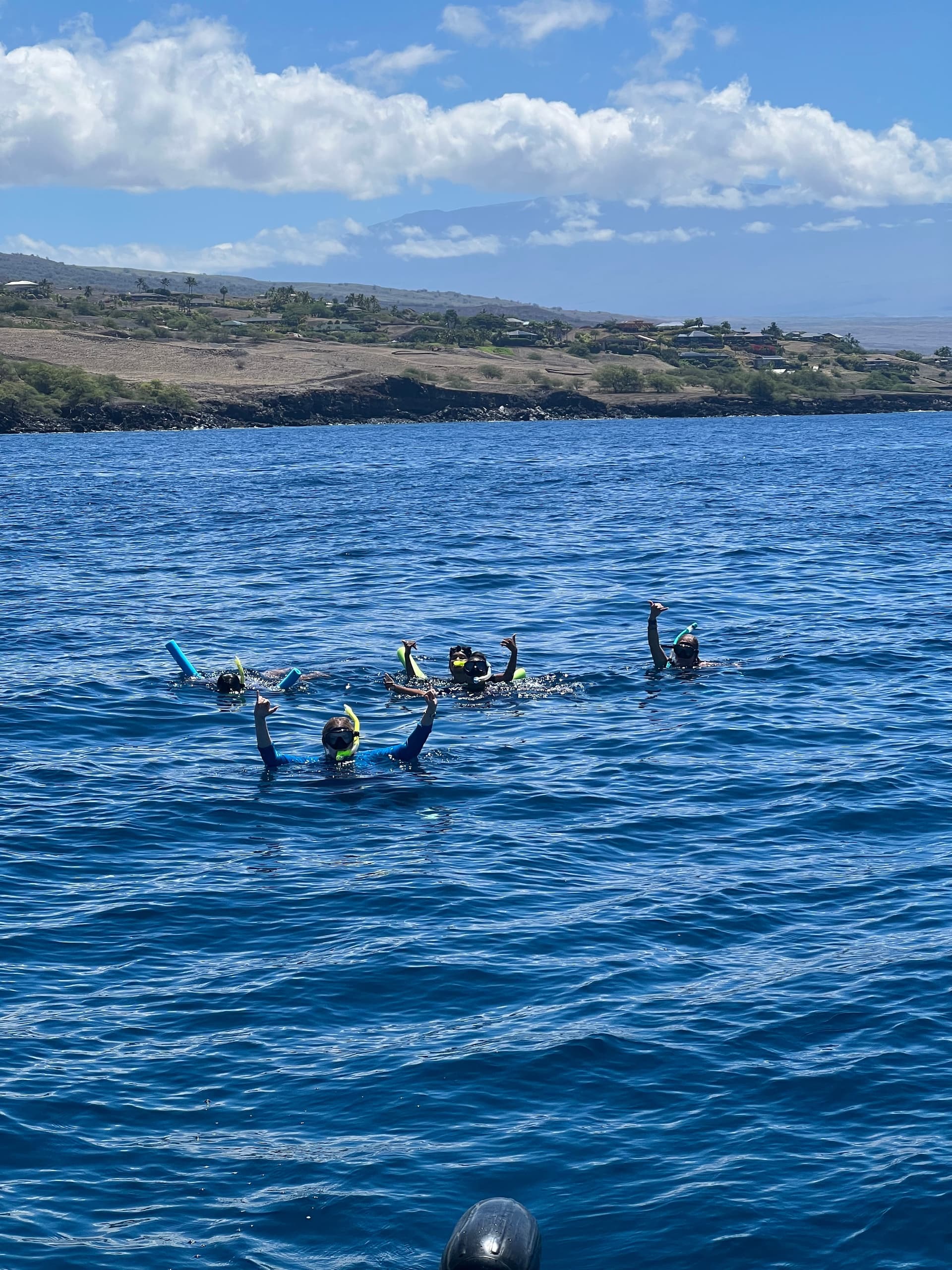 Dolphin View and Snorkel