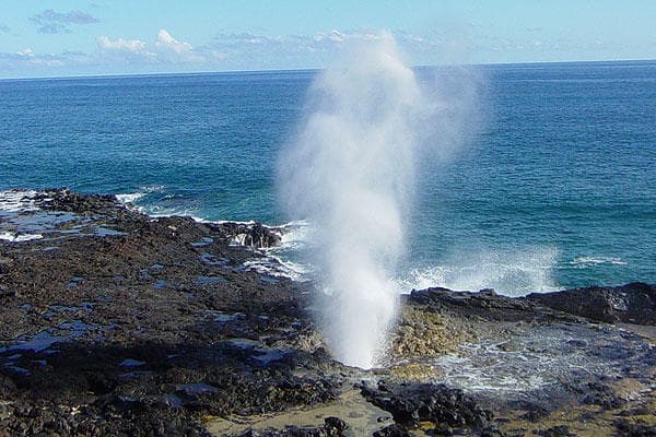 Kauai: Waimea Canyon & South Shore Guided Tour