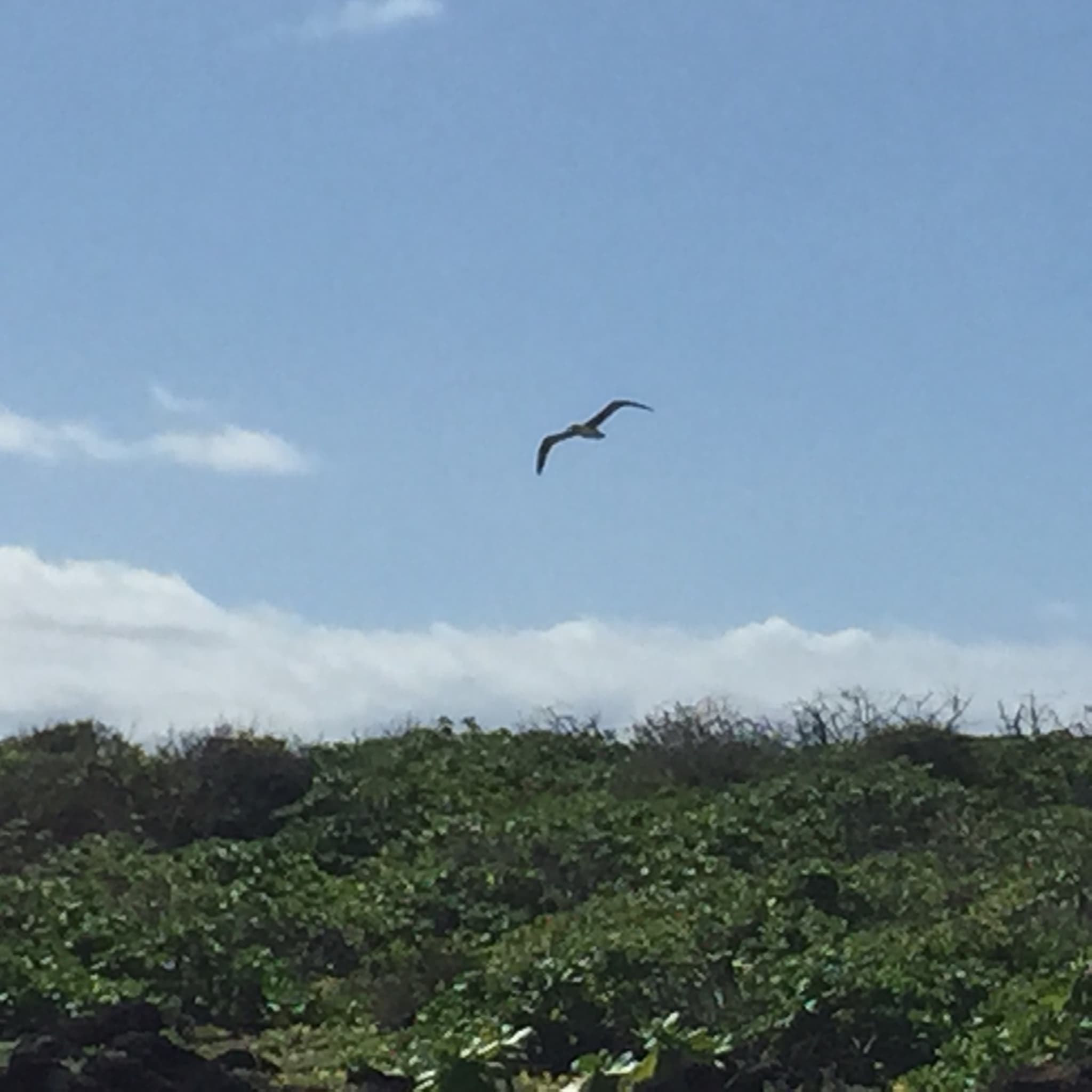 Off-Road Adventure Tour On Oahu’s North Shore