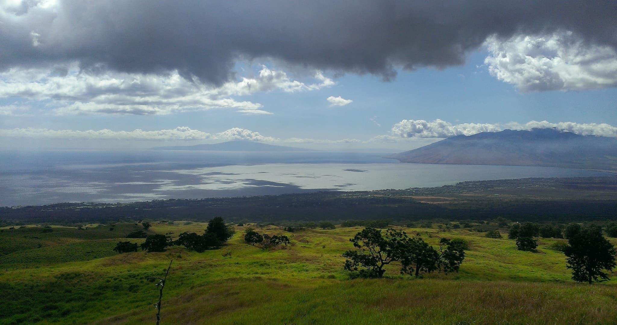 Private Upcountry Maui VIP Sunset Tour - Half Day