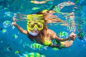 Snorkeling Gear (Mask-Snorkel-Fins)