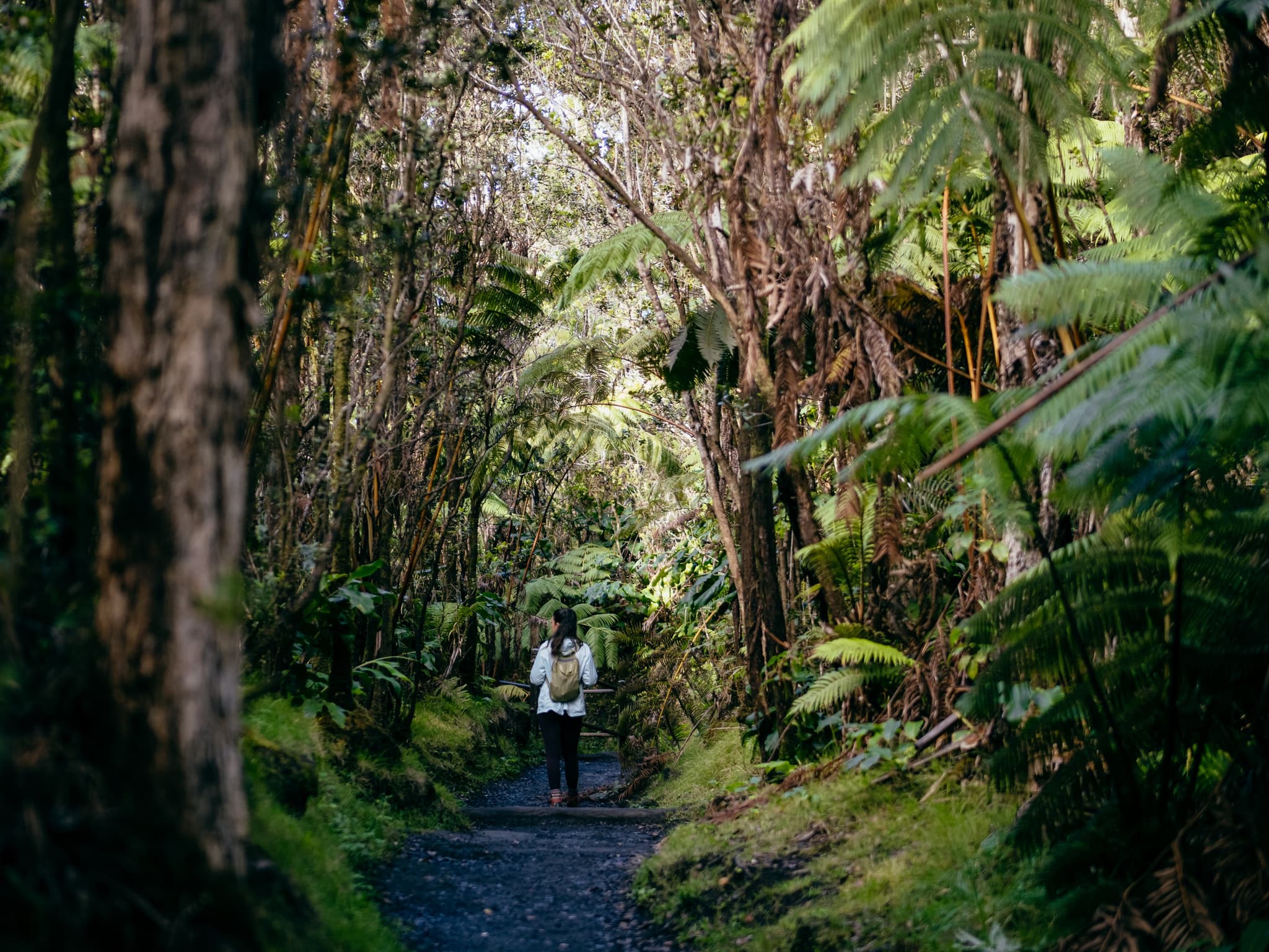 Private Volcano Explorer