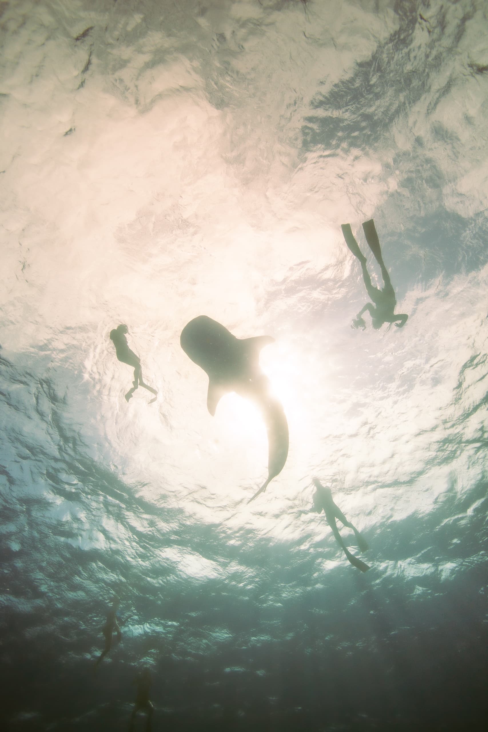 Private Afternoon Charter