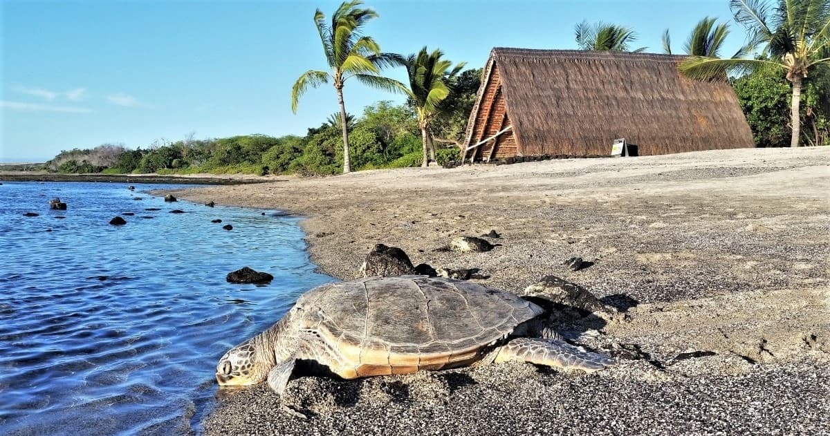 8 Day Extreme Inter-island Sailing Package – Oahu, Lanaʻi, Maui, Big Island & Molokaʻi