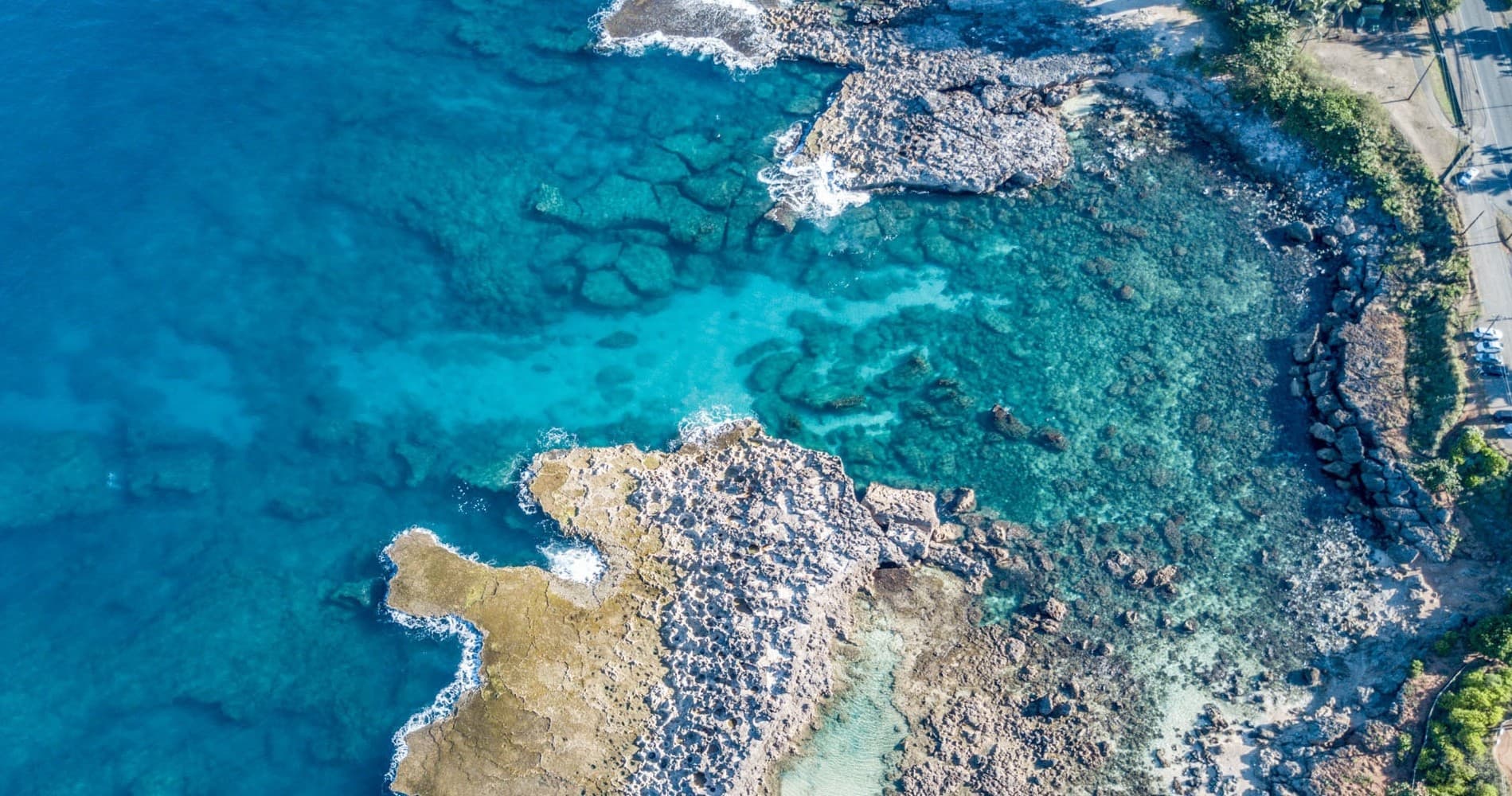 Sharks Cove Self-Guided Snorkel