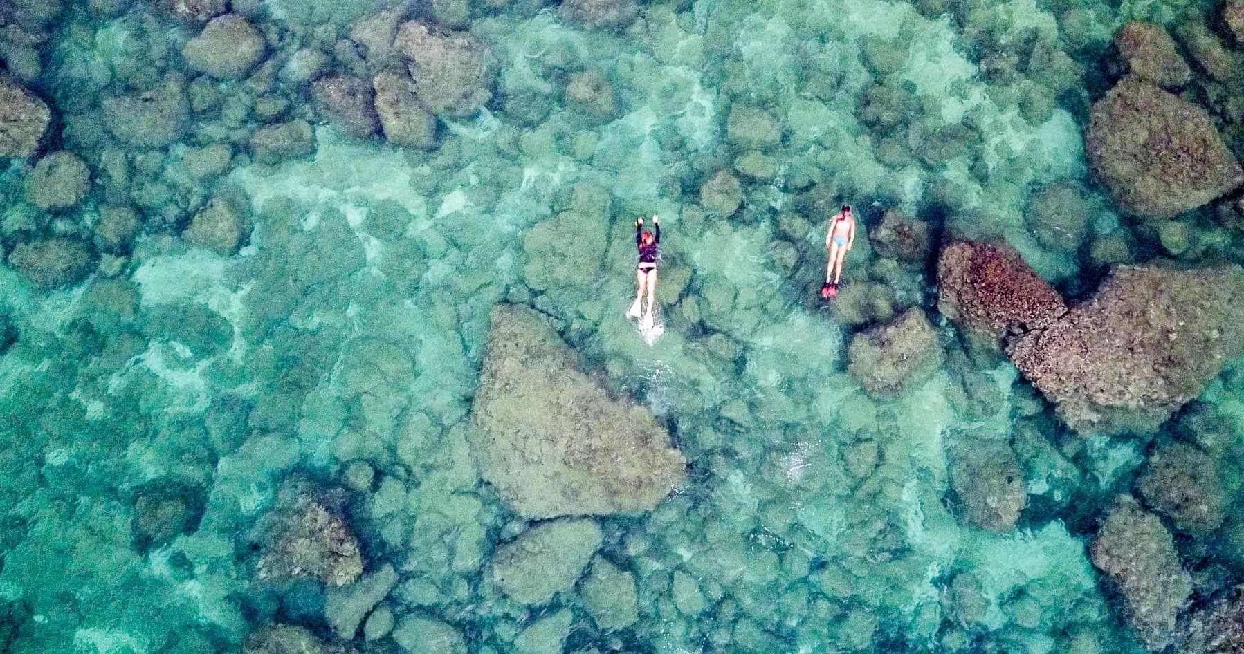 Sharks Cove Self-Guided Snorkel