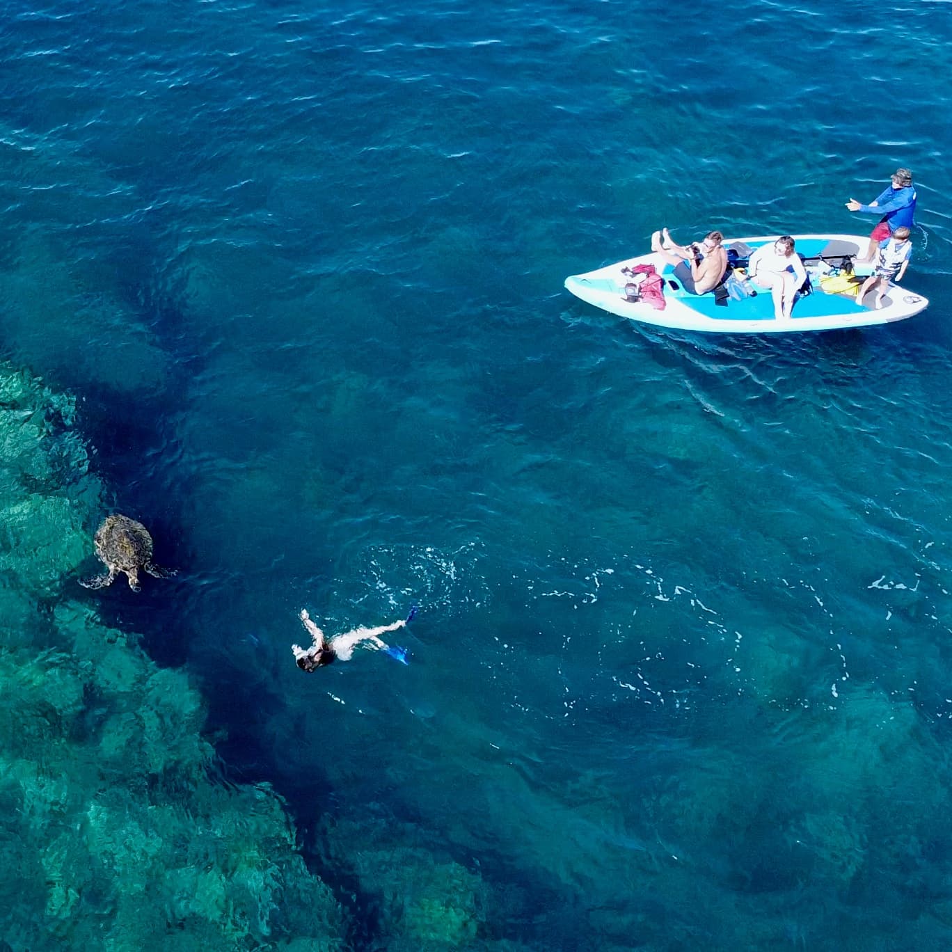 Private Snorkeling Guided Tour - Wailea Beach