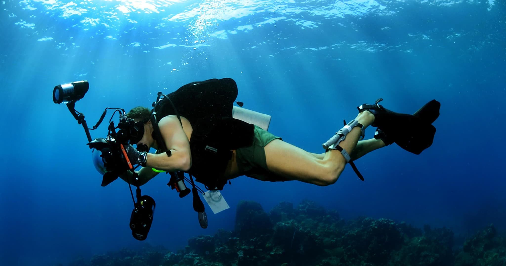 Private Guided Night Dive - Black Rock or Mala Wharf