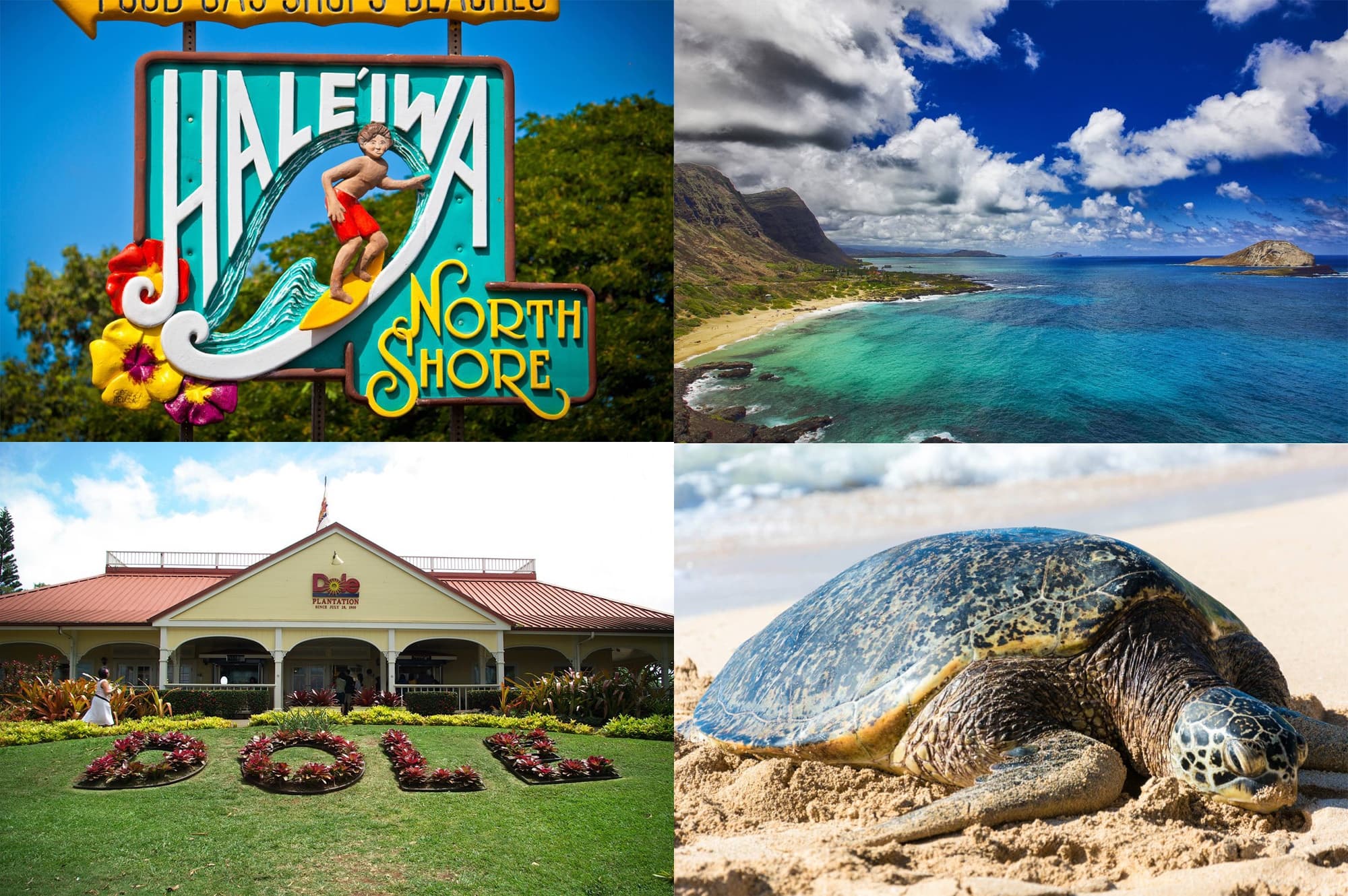 GRAND TOUR AROUND ISLAND - VISITING 16 LOCATIONS