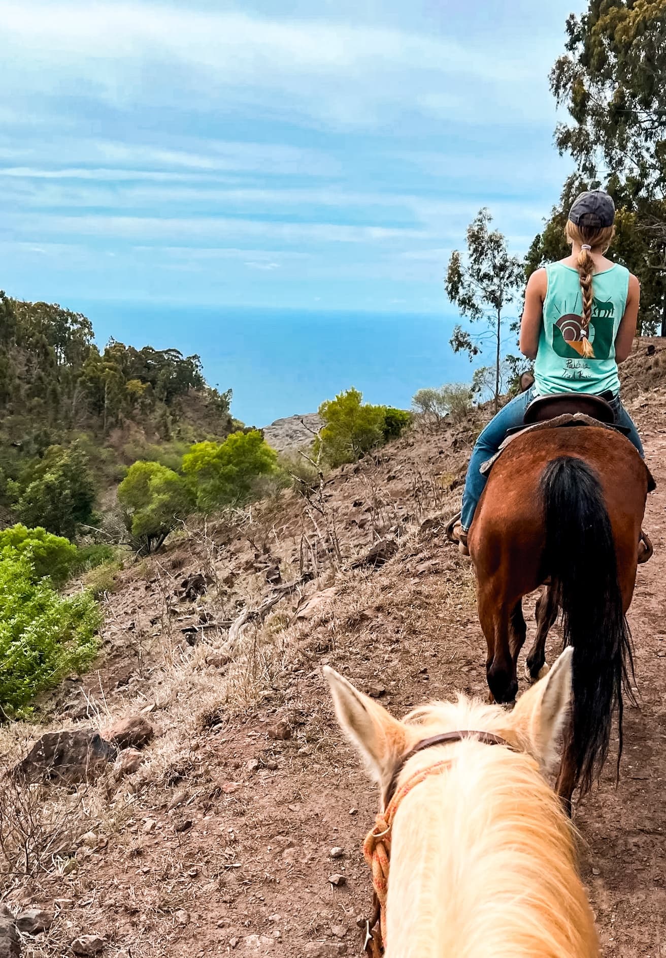 Sunshine Private Ride